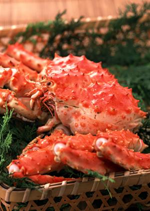 大阪のお好み焼 ぼてぢゅうグループ徹底解説：伝統の味とグローバル展開の魅力