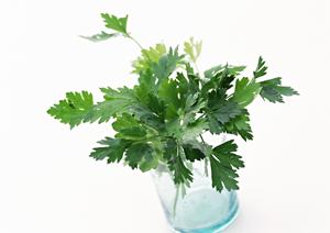 へぎそばの美味しさと楽しみ方を徹底解説！家族で味わう本格和食体験