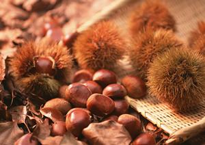 横浜・綱島で絶品スタ丼を味わえる伝説のすた丼屋綱島店の詳細ガイド