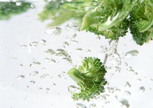 新宿で絶品の生牡蠣とイタリアンを楽しめる「Oyster Bar ジャックポット 新宿」紹介